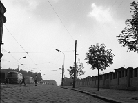 Tomas' 120 BW Negatives